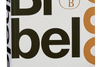 I den autoriserede oversættelse af Bibelen fra 1992 fremgår ordet "Israel" mange gange i Det Nye Testamente. Bibelselskabet har i nyudgivelsen i 2020 valgt at udelade ordet. Foto: Carsten Lundager