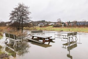 Vandstanden omkring engsøerne er steget. Det samme er muligheden for oversvømmelser, hvis regnen forsætter med at komme silende. Men myndighederne i Aarhus Kommune er foreløbig ikke foruroligede.