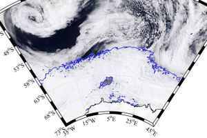 Satellitbillede af Weddellhavet der omkranser Antarktis. De blå streger markerer isens grænser. Polynyaen er den mørke region i midten af. Foto: University of Bremen via Nasa Worldview 