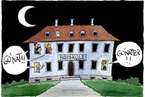 Unge skal tage på højskole for dannelsen og oplevelsernes skyld - ikke kun for at forbedre deres karaktersnit, mener Jeppe Grandahl. Arkivtegning: Rasmus Sand Høyer