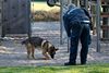 Der er kommet en ny type kunder i Jydsk Vagt & Hundeservice i Aarhus. Kunderne er ungdomsuddannelser, som gerne vil booke en vagt og en hund til at opsnuse hash. Det nye marked er udtryk for, at man på mange af landets ungdomsuddannelser i dag oplever, at omfanget af elever, der har et forbrug eller ligefrem et misbrug af hash er stort.