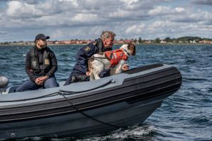 Instruktør Tobias Lindholm har lavet en tv-serie om efterforskningen af ubådsdrabet. Opklaringsarbejdet er en vigtig påmindelse om, at der er noget i vores samfund og system, der fungerer, siger instruktøren. 