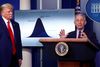Anthony Fauci er en hyppig gæst ved de daglige briefinger om sygdommen. Her deltager præsident Donald Trump også som oftest. REUTERS/Tom Brenner