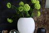 Vasen 4767 med den runde form, der leder tankerne hen på en smuk kvindefigur. Den findes i hvid og i en matsort version. Vaserne blev sat til salg landet over i alle Interfloras butikker i slutningen af marts og koster mellem 299-1.250 kr.
