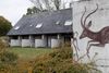 I Silkeborg havde de lokale politikere planlagt at leje værelser ud i det nedlagte Hotel Impala, som også bliver brugt som midlertidige flygtningeboliger. Men det var i strid med planloven, og derfor leder Silkeborg Kommune fortsat efter en løsning. Det nedlagte hotel Impala i Silkeborg. Foto: Gregers Tycho