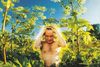 Sådan fremstår C.V. Jørgensen på coveret til "Sjælland", der oprindeligt udkom i 1994. Foto: Sony Music
