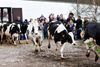 Eksporten af økologiske fødevarer har stabiliseret sig efter mange års konstant vækst. Importen fortsætter med at stige, hvilket blandt andet skyldes den voldsomme tørke i 2018. Foto: Stine Bidstrup