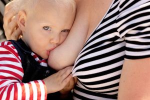 Danske forskere viser, hvordan tarmbakterier, der fremmes af amning, kan gavne spædbørns immunforsvar.