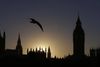 Foto: Alastair Grant/AP