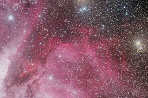 En nova er en pludselig opblussen af lys fra en ellers ikke bemærkelsesværdig stjerne. Her ses novaen V906 Carinae (i cirklen), som er hovedperson i et nyt studie med deltagelse fra Københavns Universitet. Foto: A. Maury and J. Fabrega