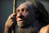 Blandede neandertalerne sig med menneskene? Foto: dpa/AP