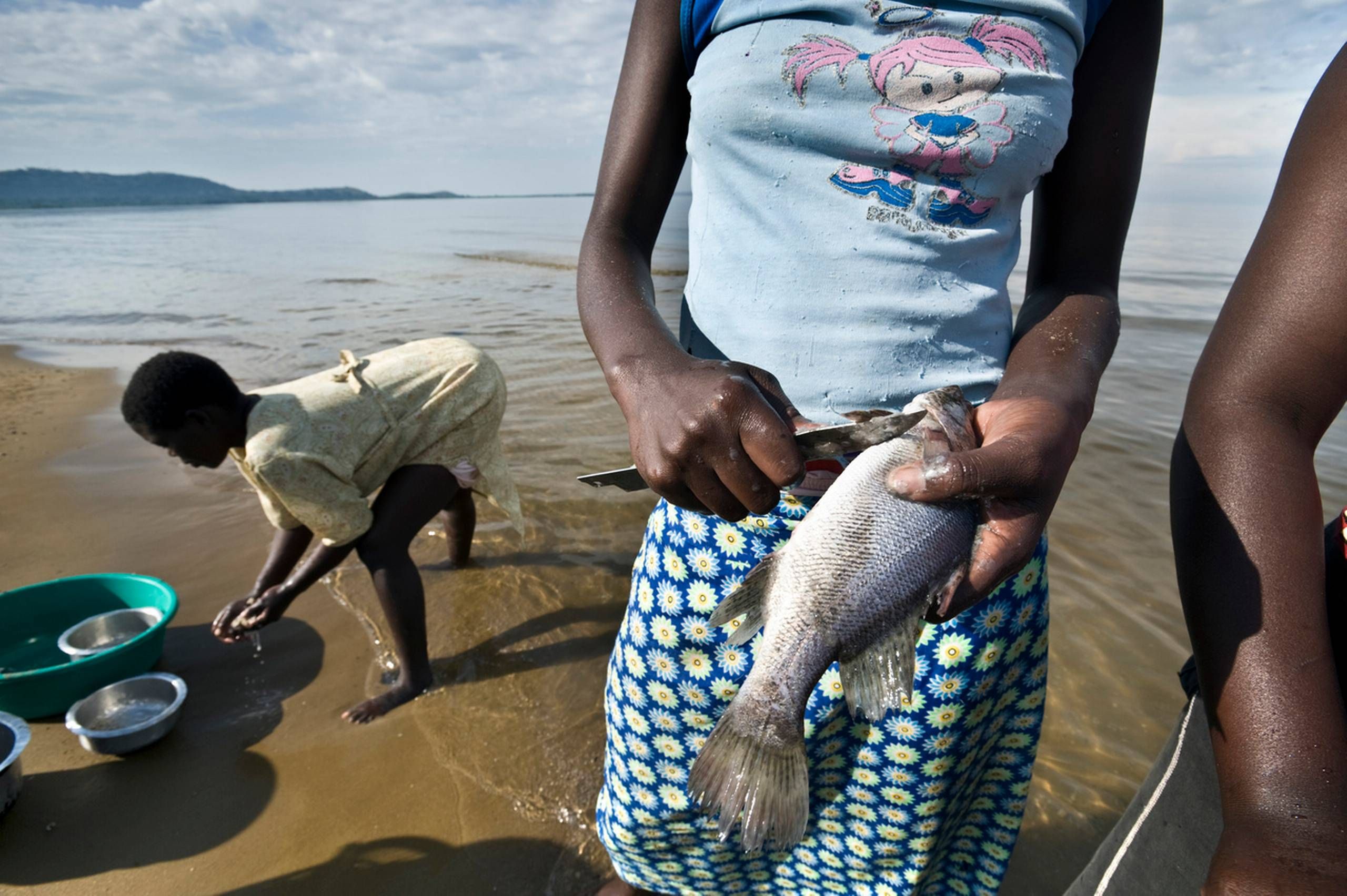 Kenyas kvinder bytter sex for fisk billede