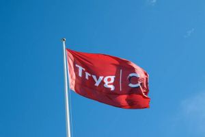 Hvem der ejer og kontrollerer selskabet bag forsikringskæmpen Tryg, har i en lang årrække været kernen i en spektakulært David vs. Goliat-opgør.