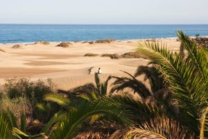 Få steder i Spanien er man så afhængig af turisme som på De Kanariske Øer. Nu skal en storstilet satsning bringe turisterne tilbage – og måske vise resten af verden vejen for fremtidens coronasikre turisme.