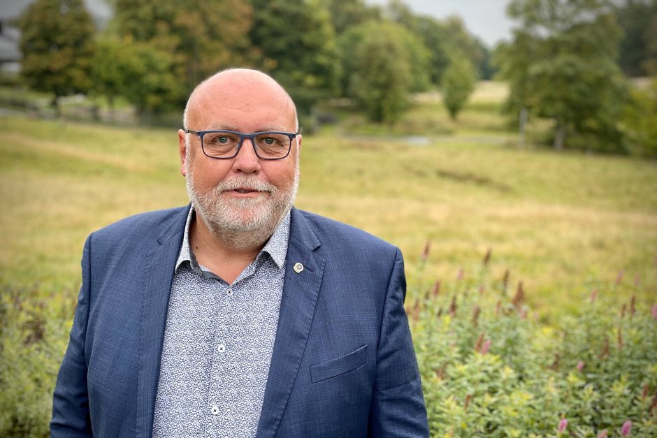 Artiklens øverste billede