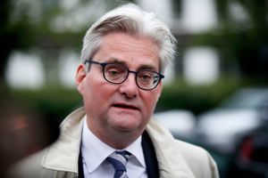 Tilblivelsen og forløbet om medieansvarsudvalget lugter langt væk af at have politiske motiver.