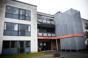 Kommunernes tilsyn ser mere positivt på forhold i ældreplejen, end statens tilsyn gør, viser en undersøgelse, som Jyllands-Posten har foretaget. 
