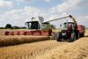 Mange steder i Danmark vil en del af hvede- og majsmarkerne formentlig snart blive udskiftet med marker med vedvarende græs. Marker med græs forurener mindre og kan producere langt større mængder protein, som forskerne nu har formået at udvinde. Dermed kan Danmark gøres uafhængig af importeret sojaskrå. Foto: Gregers Tycho