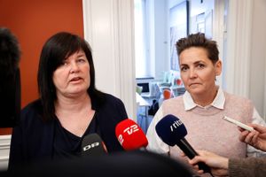 Røde partier giver fuldtonet opbakning til et lobbyregister, mens De Konservative melder sig parat til at kigge på sagen. Venstre er imod. 