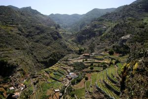 Kløfterne i Anaga-bjergene udnyttes til landbrug på terrassemarker. Foto: Martin Thomas/TGT