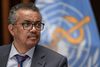 WHO, anført af generalsektretær Tedros Adhanom Ghebreyes, vurderer, at covid-pandemien kan være under kontrol inden for måneder, hvis overvågningen af smittede er effektiv og folk fortsætter med den rigtige adfærd, bl.a. at fortsætte med at holde afstand og bruge ansigtsmasker. Arkivfoto: Pool New/Reuters