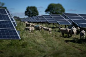 Planudvalget i Syddjurs Kommune ønsker kun to af otte solcelleprojekter sat i gang nu. Tre skal helt afvises.