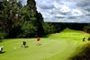 Må Silkeborg Kommune give anlægstilskud til en golfbane, som ejes af et aktieselskab og ikke af en forening? Det diskuterer politikerne i den midtjyske by. Arkivfoto: Nicolai Lorenzen
