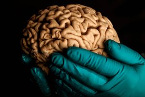 Behandlingen af Parkinsons har mere eller mindre stået stille siden 1960'erne, men nu tyder forsøg i Japan og forskning herhjemme på et gennembrud. Japanske forskere vurderer, at en behandling kan være på markedet i 2023 - danske forskere siger dog 2028.