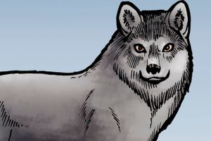 En tegneseriestribe med en ulv har fået en lang række svenske lokalaviser til at opsige deres samarbejde med den norske tegner Lise Myhre.