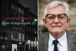 Som essaygenren fordrer, kommer Søren Ulrik Thomsen vidt omkring i "Store Kongensgade 23", der bl.a. omhandler moderens psykiatriske behandlingsforløb, ungdommens vitalitet og livets ophør. 