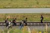 Flygtninge og migranter går langs jernbanesporet på vej ind i ØStrig. I løbet af de seneste dage er der ankommet mellem 12.000 og 13.000 til landet, vurderer chefen for Østrigsk Røde Kors.