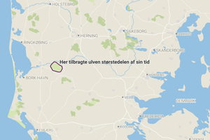 Se resultaterne fra den nye undersøgelse her.