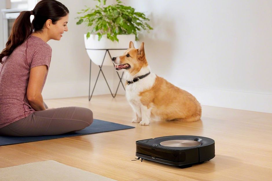 omhyggelig ægtemand Efterår Test af iRobot Roomba s9+: Intelligent robot giver personlig rengøring