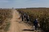 Flygtninge, bl.a. fra Syrien, på vandring ved grænsen mellem Serbien og Kroatien. Foto: Joachim Ladefoged