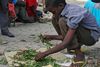 Kat er ulovligt i mange europæiske lande. Her sorterer en dreng katblade på en gade i Somalias hovedstad, Mogadishu.