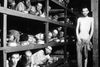 Elie Wiesel, der ligger som nummer syv fra venstre i midterste række i koncentrationslejren Buchenwald, er død i en alder af 87 år. Foto: AP