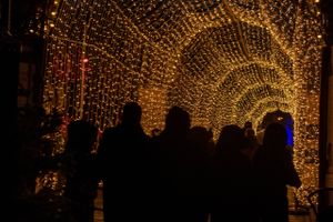 Jul i Friheden er blevet en fast tradition for mange østjyder – nu vil tivoliledelsen også lave en vinterlysfest.