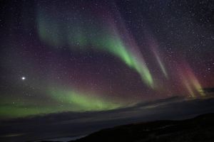 Rumvejrudsigten antyder, at der kan forekomme nordlys på himlen over Danmark natten til lørdag. Her er tre tips fra astrofysikeren, der vil øge dine chancer for opleve det smukke naturfænomen.