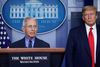 Direktøren for USA's National Institute of Allergy and Infectious Diseases, Anthony Fauci, på en pressekonference i Det Hvide Hus i april. Siden da har Fauci modsagt præsident Trump en del gange - og efterhånden er det længe siden, at han har været med til en pressekonference. Fauci sagde i sidste uge, at han ikke længere briefer Trump direkte. Nu går briefingerne via vicepræsident Mike Pence. Foto: Leah Millis/Reuters