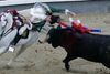 Tyrefægtning nu blevet forbudt i Catalonien, og meget tyder på, at resten af Spanien vil følge efter. Arkivfoto