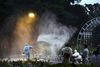 800 liter pesticider blev sprøjtet ud i Yoyogi Park, men dengue-virussen havde med myggene spredt sig til andre parker. Arkivfoto: AP