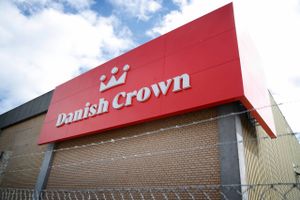 Danish Crowns store fabrik i Kina giver fortsat underskud. Salget er ramt af coronanedlukninger, som også har medført, at direktøren er låst inde. 