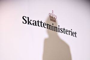 Økonomisk kriminalitet risikerer at gå ustraffet hen på grund af lange behandlingstider i Skatteministeriet.