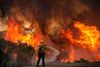 Brandmænd i Californien kæmpede mandag mod i alt 25 store brande. Her er det skovbranden i området Jamul, der har fået navnet Valley Fire. Foto: Sandy Huffaker/AFP