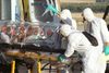 I øjeblikket er det amerikanske flyselskab Phoenix Air det eneste i verden – ud over militære fly – der er udstyret til at flyve med ebola-smittede med sygdommen i udbrud og symptomer som feber, blødninger og opkast.