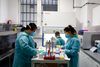 Verden over er testkapaciteten - som her i Tyskland - skruet op på det maksimale. I Danmark er Novo Nordisk nu en del af kampen. Foto: REUTERS/Axel Schmidt