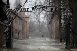Udstilling om Auschwitz er et slag i ansigtet på Holocausts dehumanisering af jøderne.