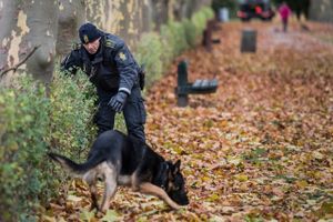 Når politiet har modtaget svaret på testen, forventer anklageren, at der kan tages stilling til, om der skal rejses tiltale.