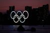 De olympiske ringe lyser ved Odaiba Marine Park i Tokyo. Flere og flere opfordrer nu til, at legene bliver udskudt. Foto: Issei Kato /Reuters