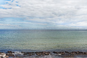To kommuner og Naturfredningsforeningen kritiserer plan om at placere op mod 45 vindmøller i Øresund nær Køge Bugt.